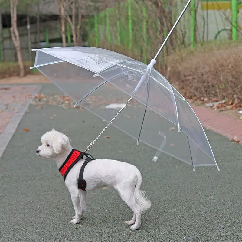 Puddle Paws Pet Leash Rain Umbrella