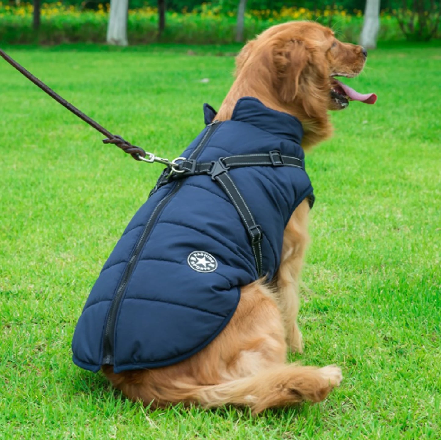 Rainy Day Ruffwear Waterproof Winter Dog Jacket with Leash Attachment