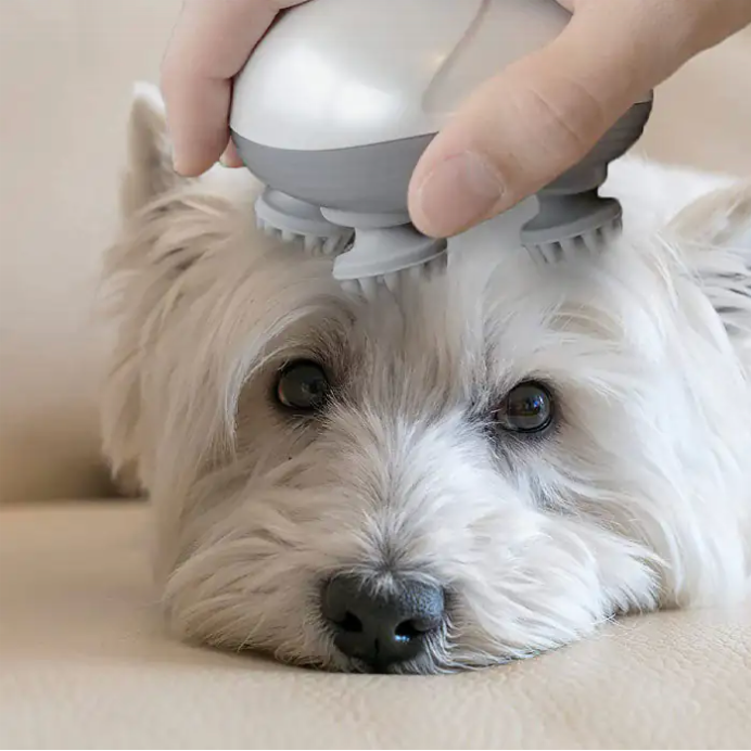 Hand Held Electric Head Massager for Pets