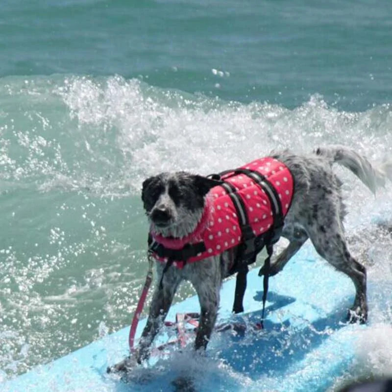 Pet Water Safety Life Vest Jacket for Dogs