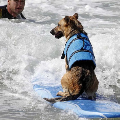 Pet Water Safety Life Vest Jacket for Dogs