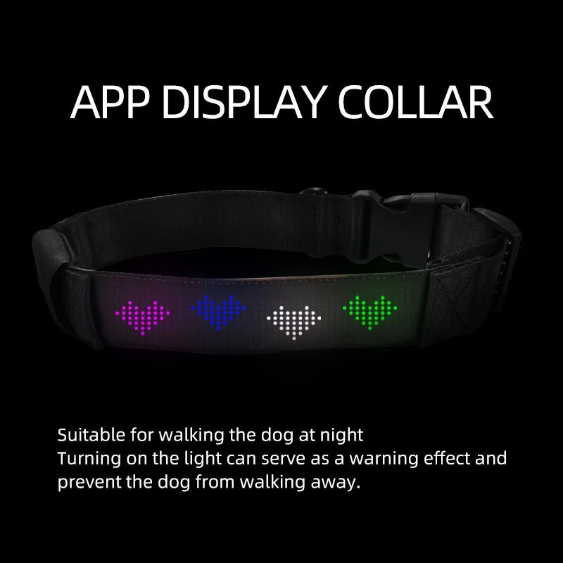 Smart Glow Pet Collar