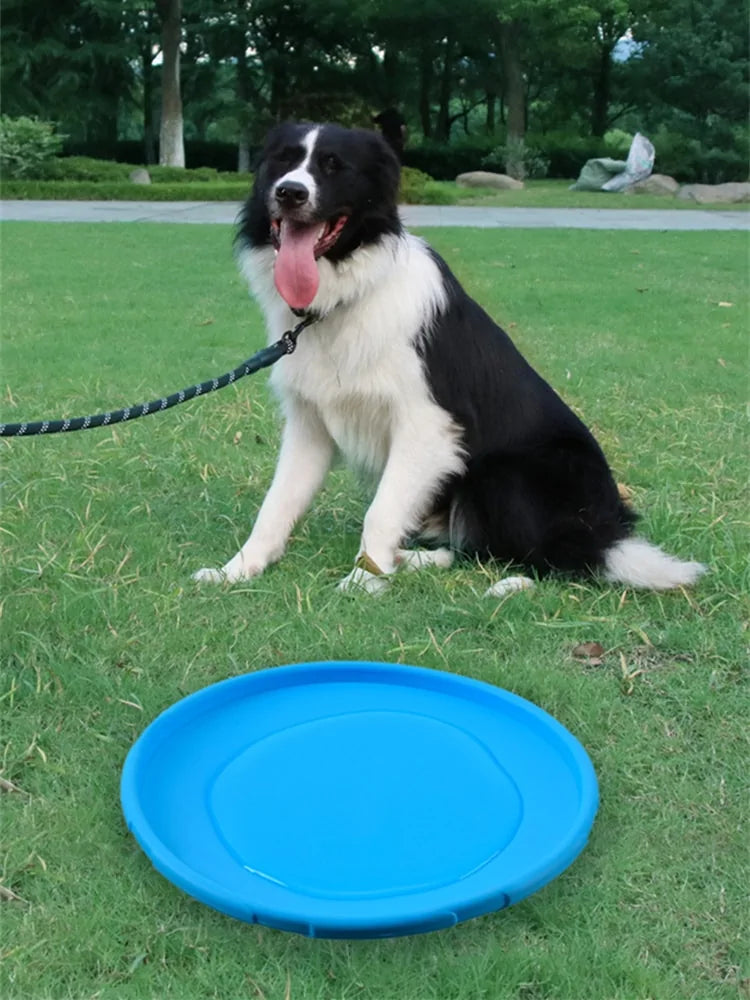 Woof Disc Frisbee