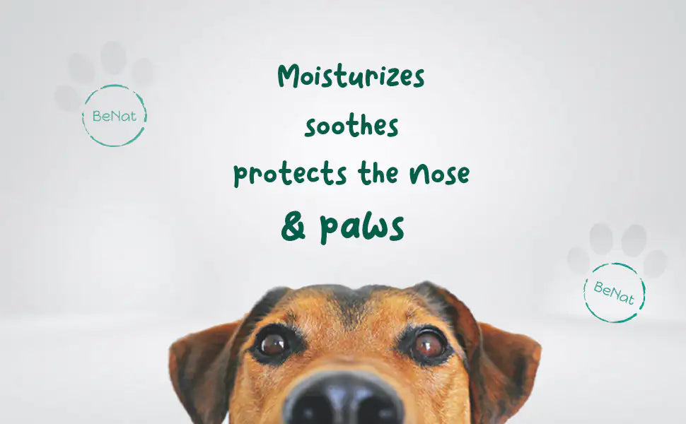 Healing Moisturizing Nose and Paw Balm Cream