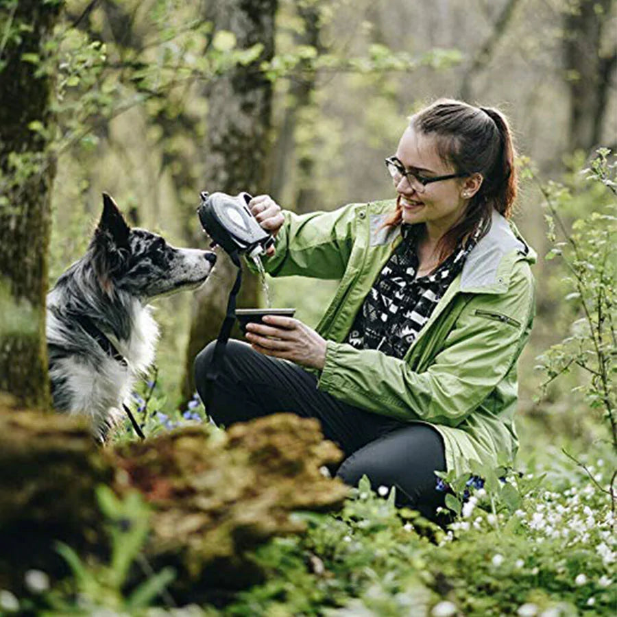 Walkies Wizard Retractable Leash