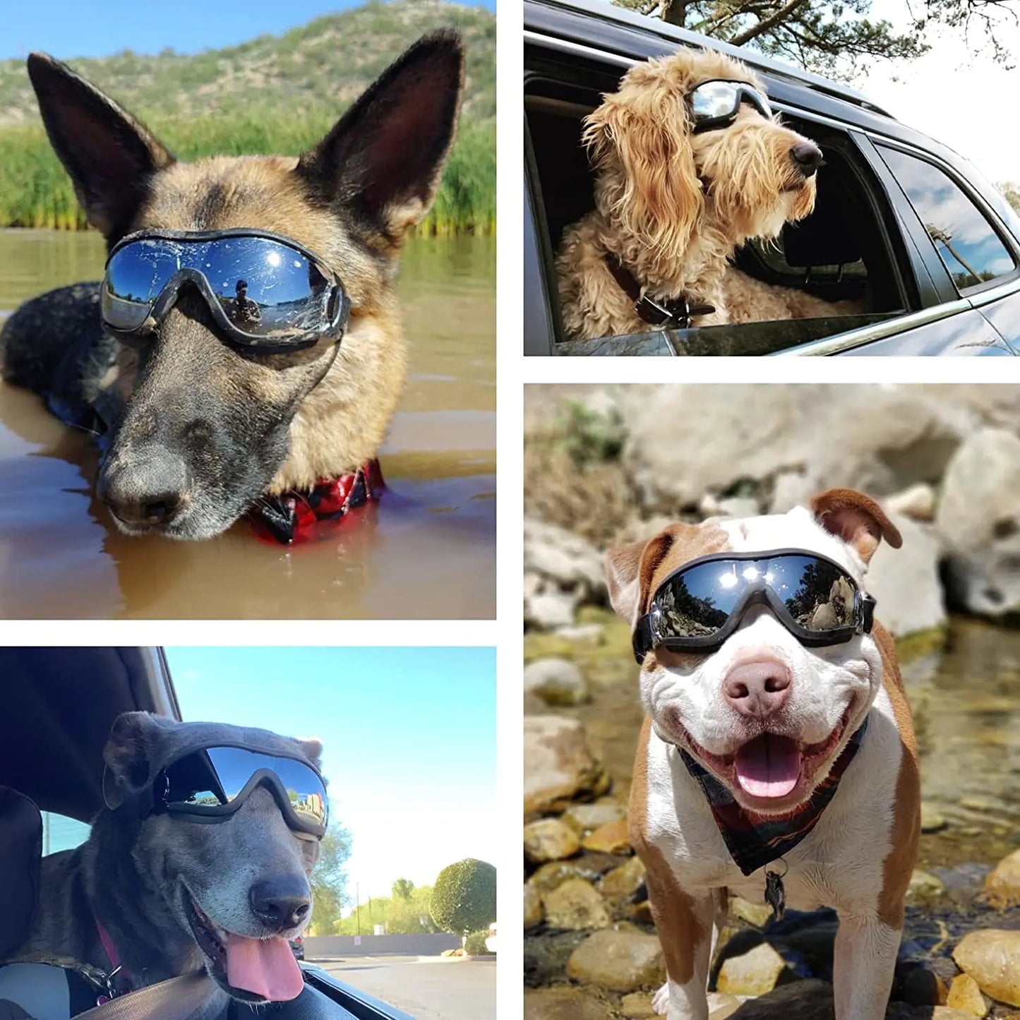 Shady Pooch Adjustable Dog Goggles