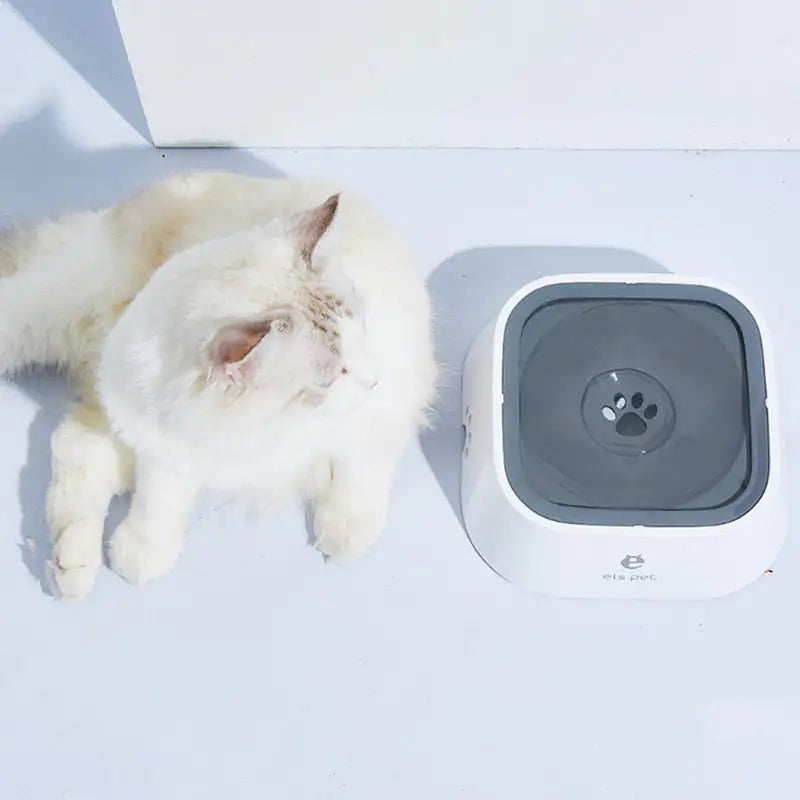 Sip 'n Drip No More - Splash Proof Pet Water Bowl