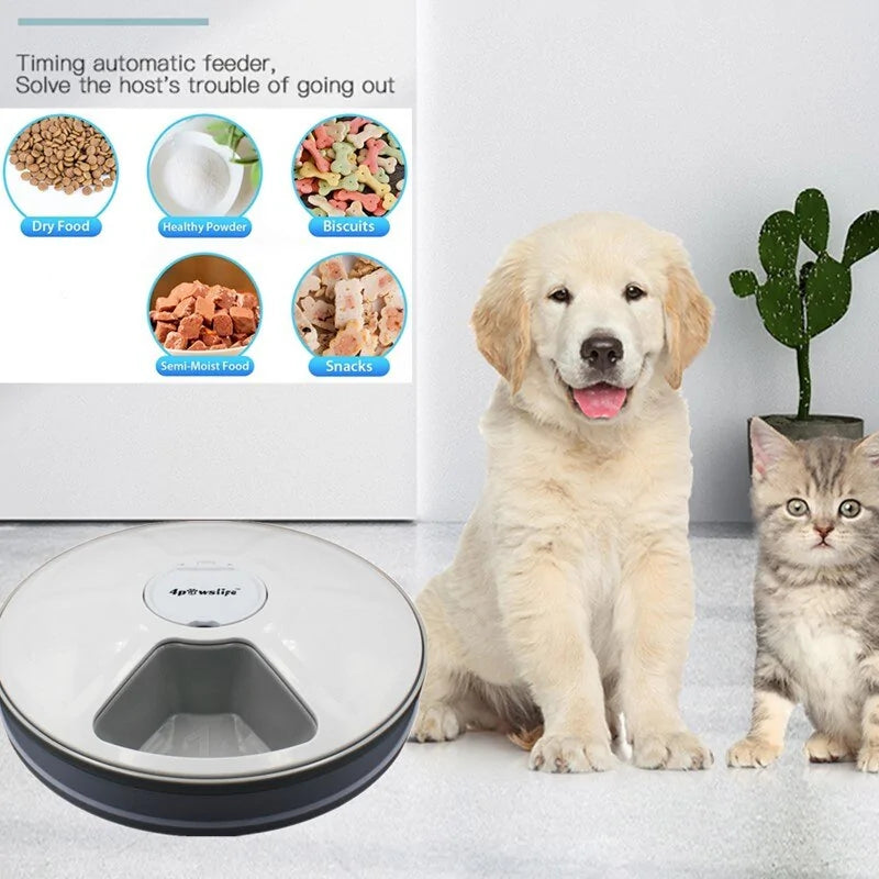 The Punctual Pet Butler - Automatic Feeder